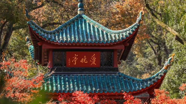 [红包]如何在窗口期择股？一位职业交易者的取舍之道